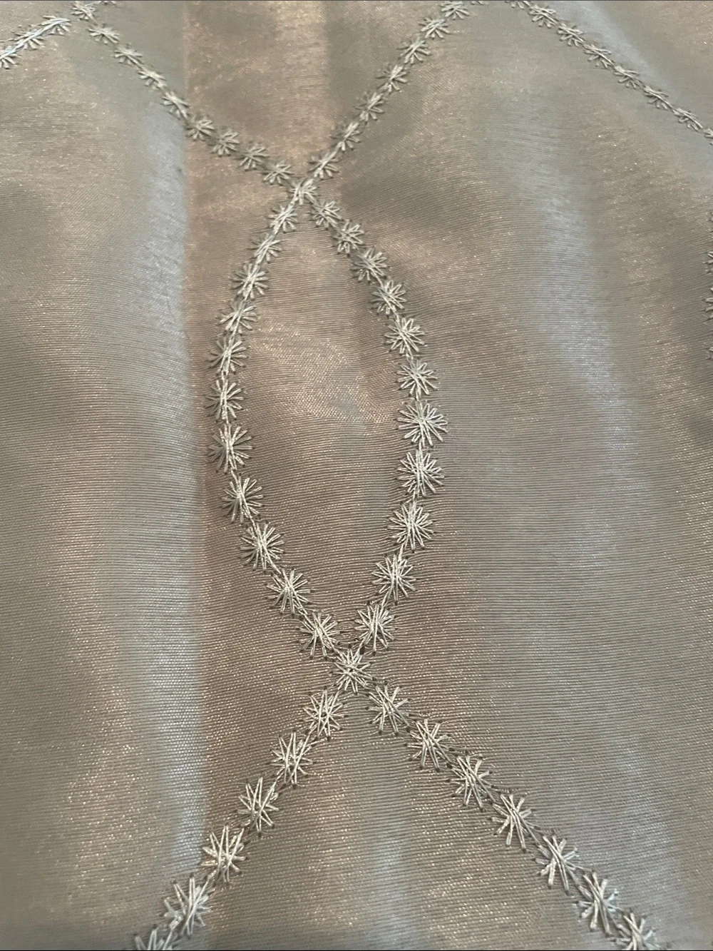 Neutral Taupe Drapery Panels with Embroidered Pattern